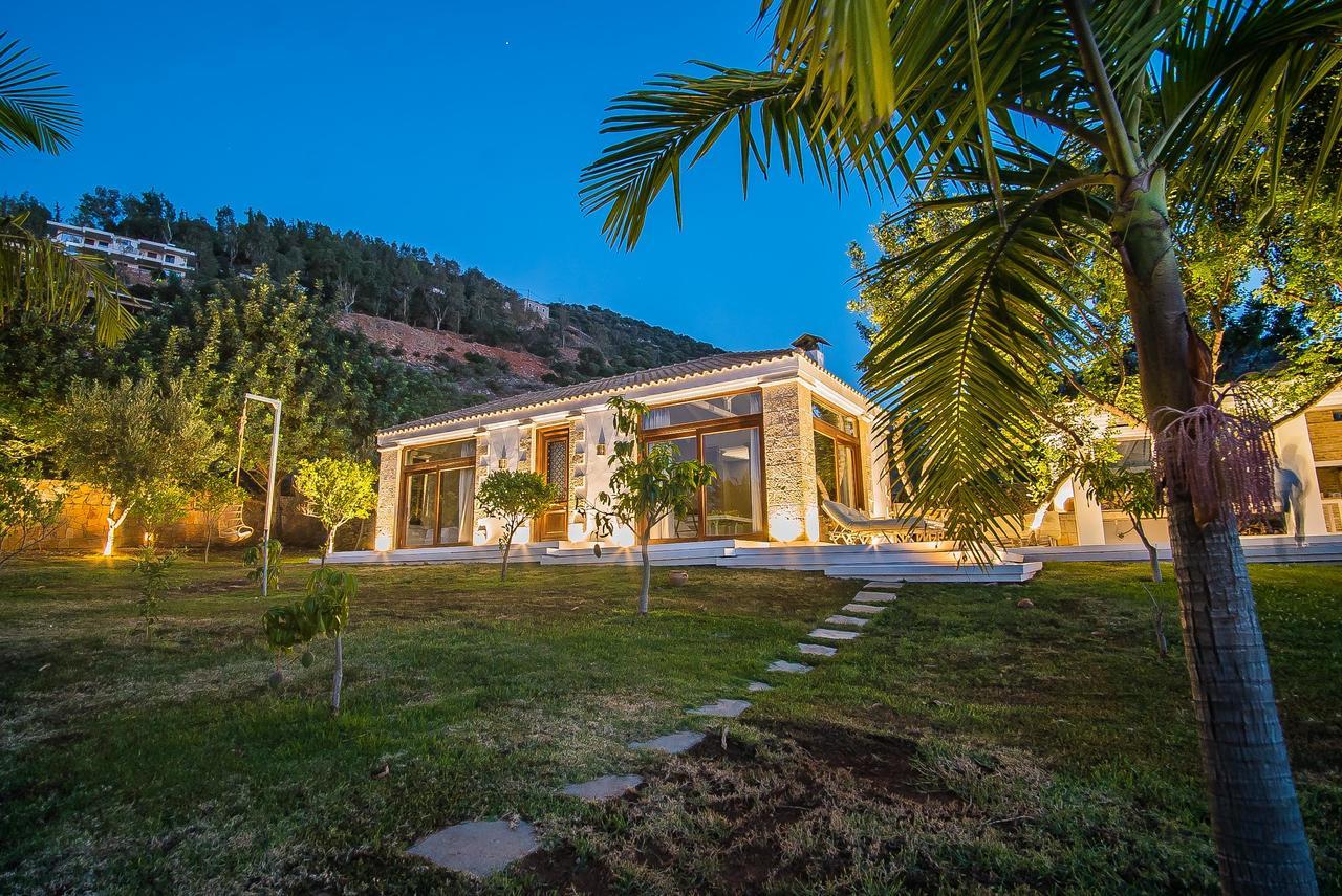 Icons Sea Of Crete Villa Malia  Exterior photo